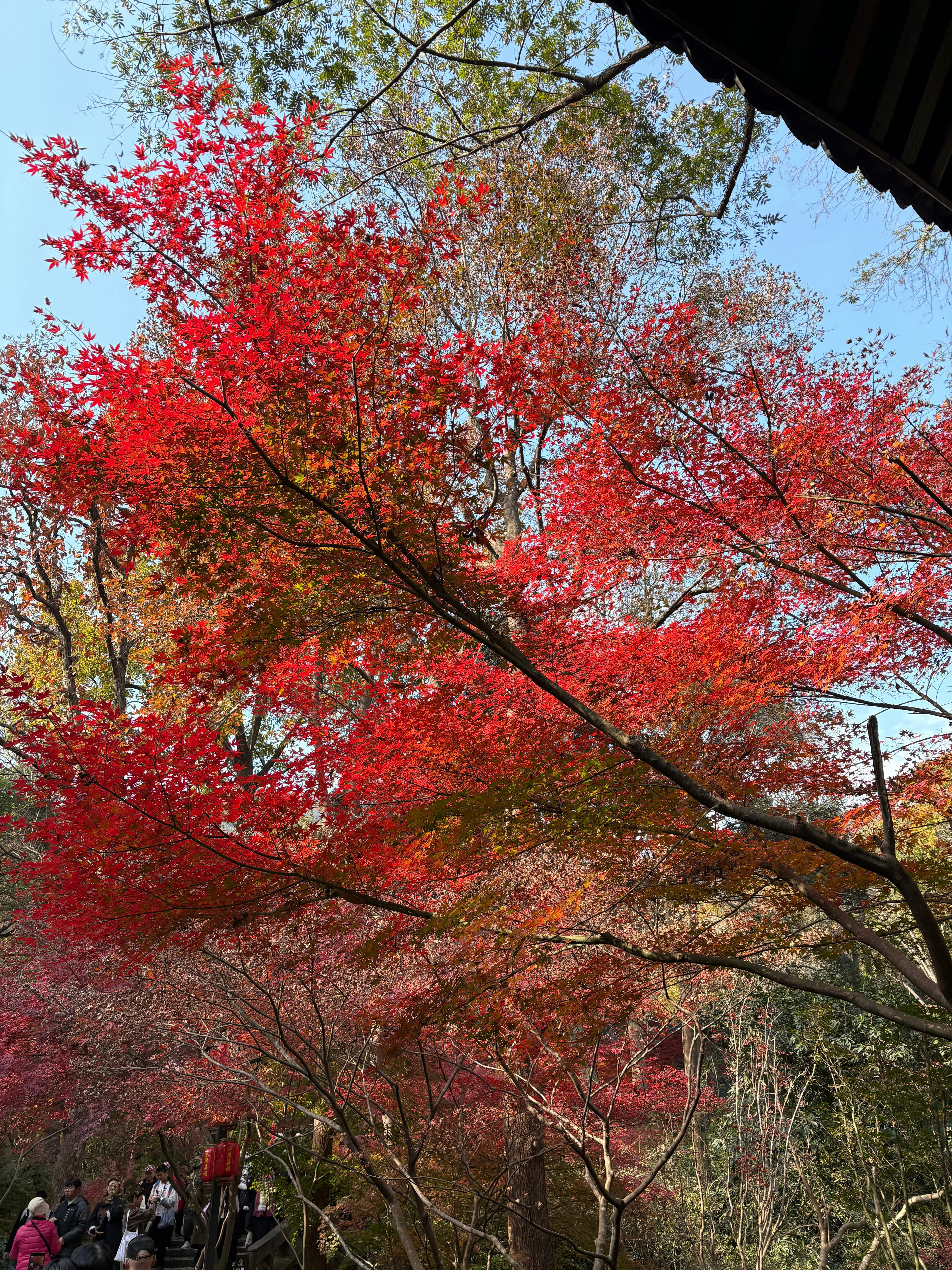 有时候大家的离谱程度也是让人瞠目结舌的有个来访前段时间报一对一当时是和老公闹离婚