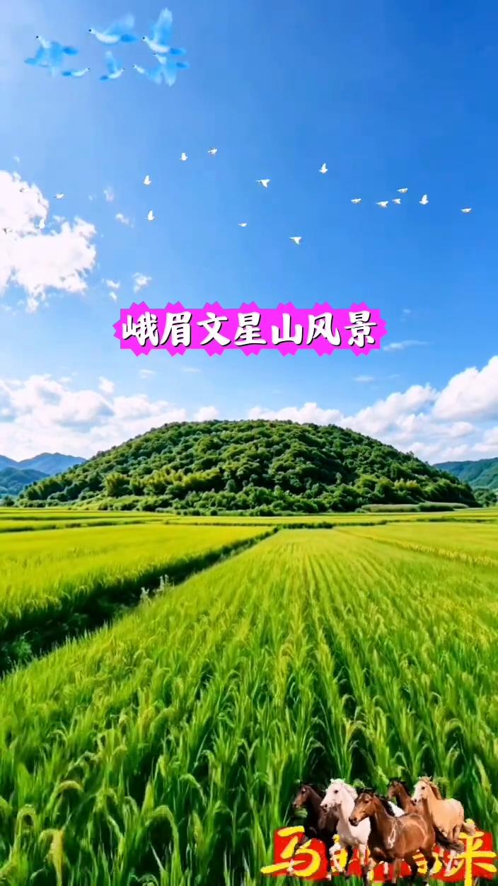 峨眉文星山风景。
马的来，温来。