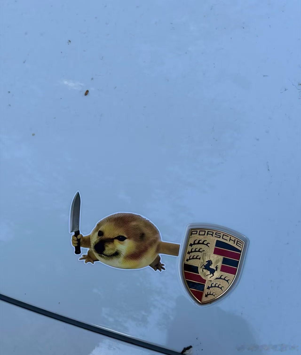 救命我这莫名其妙的笑点 