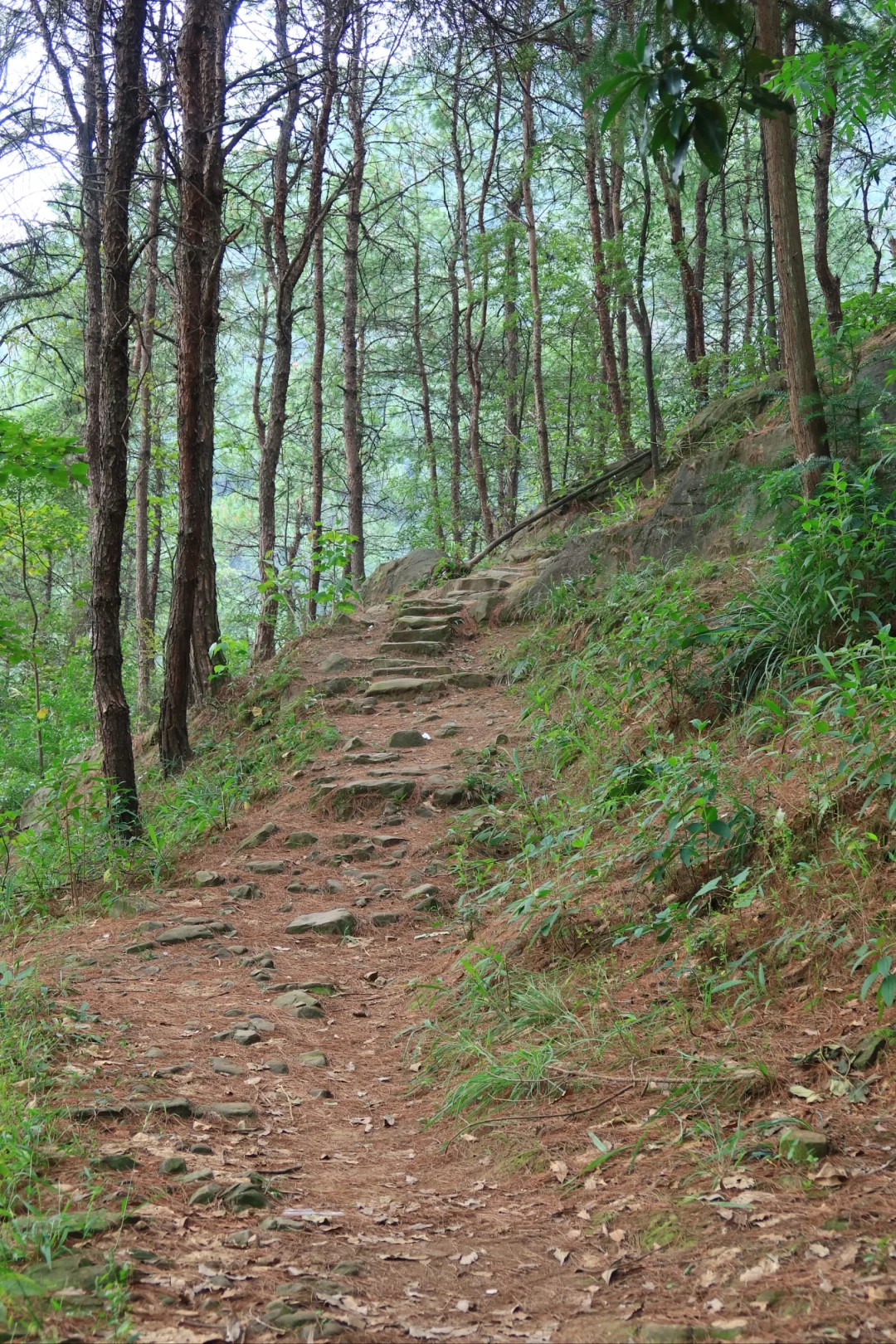 亲子徒步茶园村·秋季户外正当时
