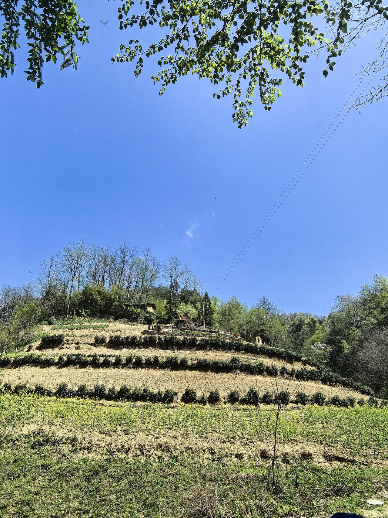 记录我的2026踏青寻祖活动圆满结束！去到爸爸的爸爸住的地方，找到了现存100多