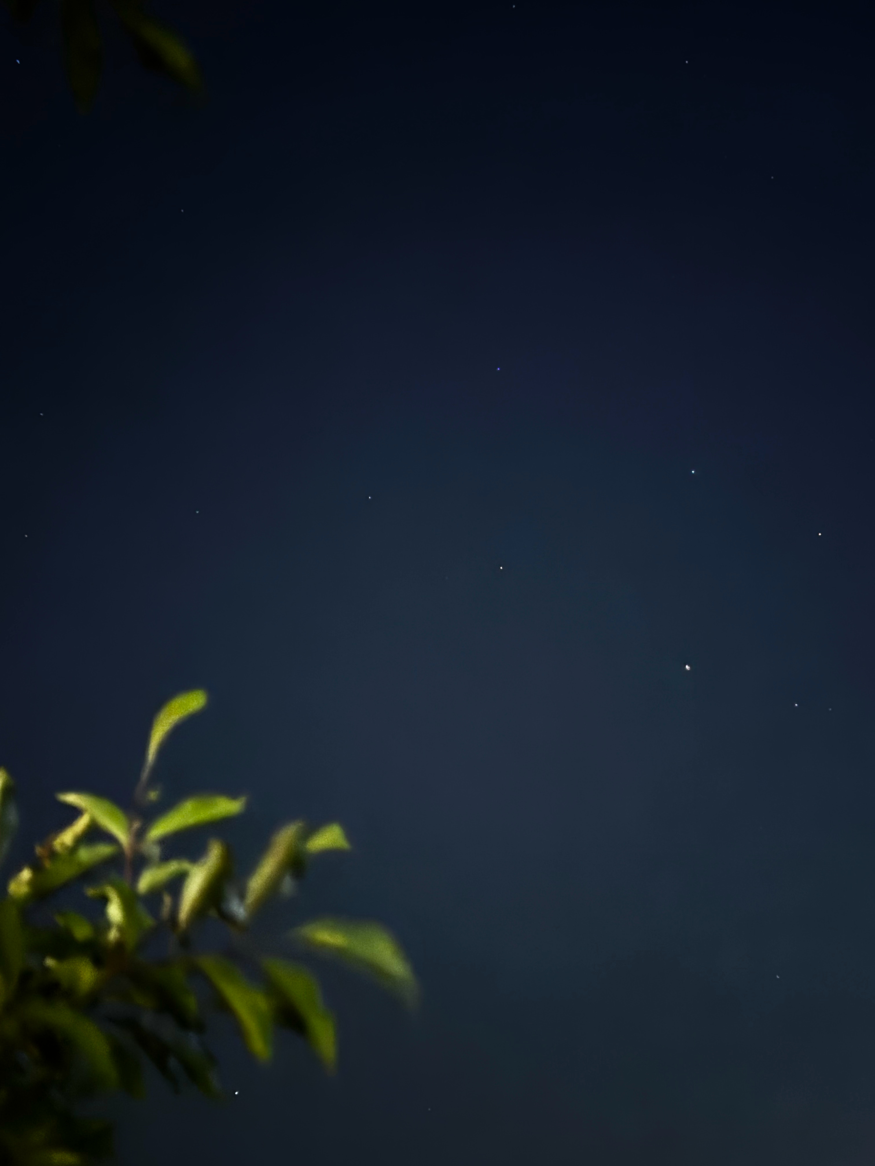 踩水 在沙滩上跑 花火 躺在地上看星星了 ​​​