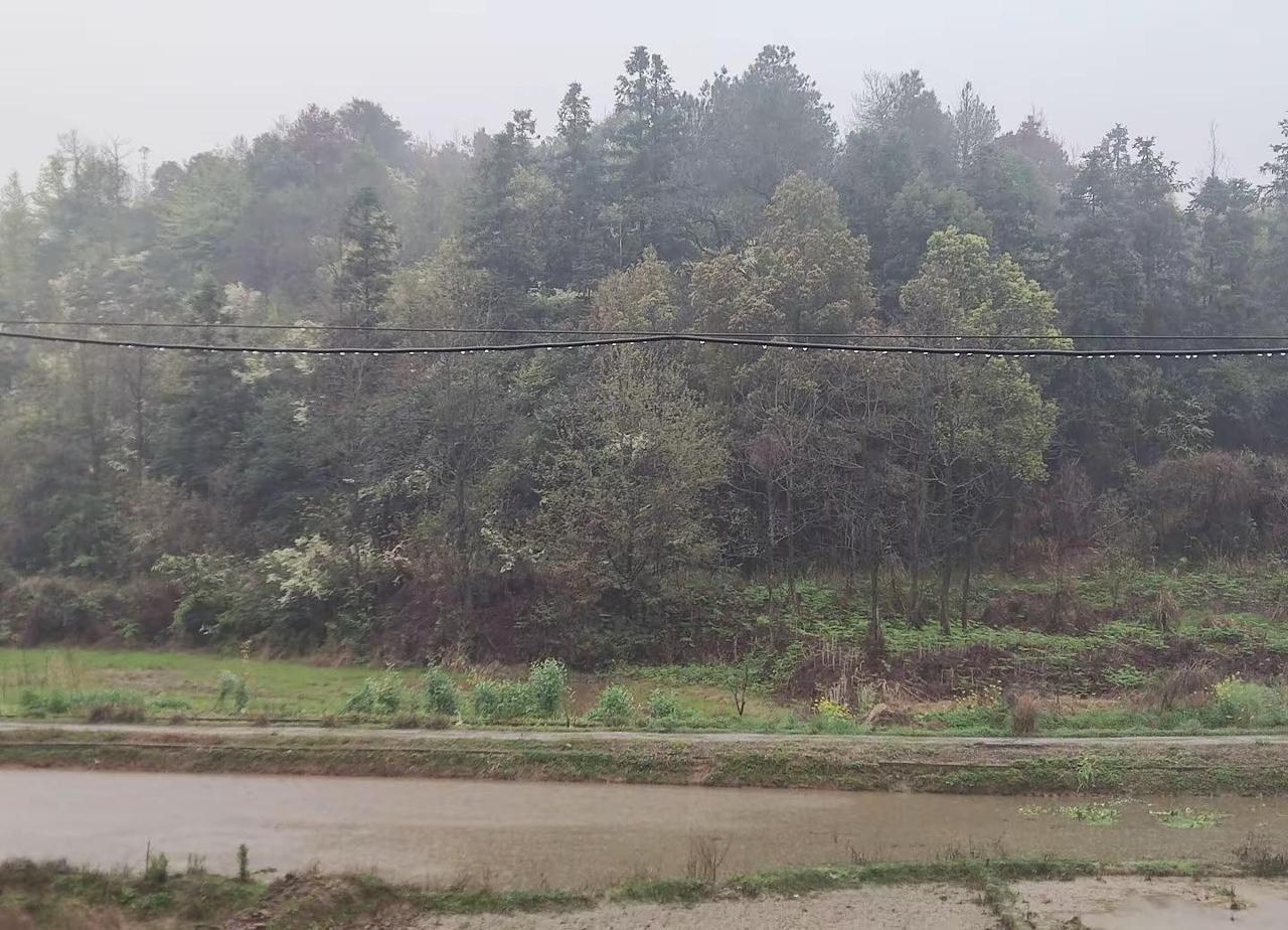 湖南怎么回事？早也下雨晚也下雨，都快下了半个月，衣服感觉晒不干。