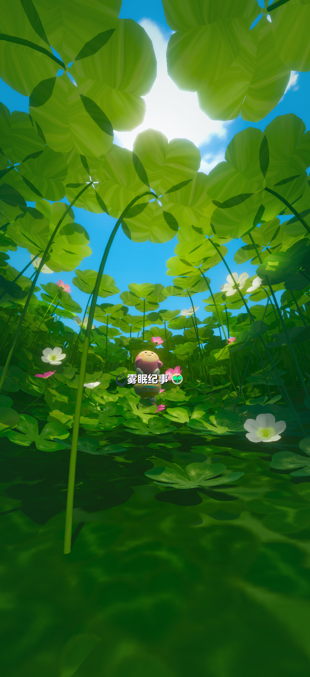 隅间圆语⁺.☘︎ 네잎 클로버⁺⊹.˚🍀🍀四叶草的幸运为什么总是下次一定🍀