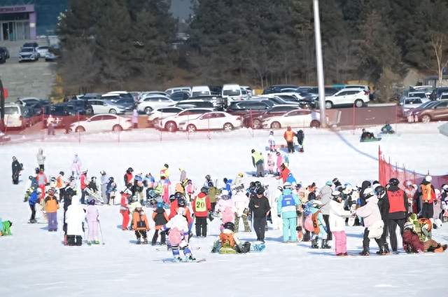 中小学生12月享5天“雪假”！可免费滑雪、游景区