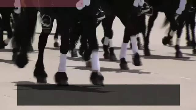 【现场直击：马背上的风采，墨西哥独立日阅兵女骑兵惊艳登场，成全场亮点】#看世界##看世界[超话]#