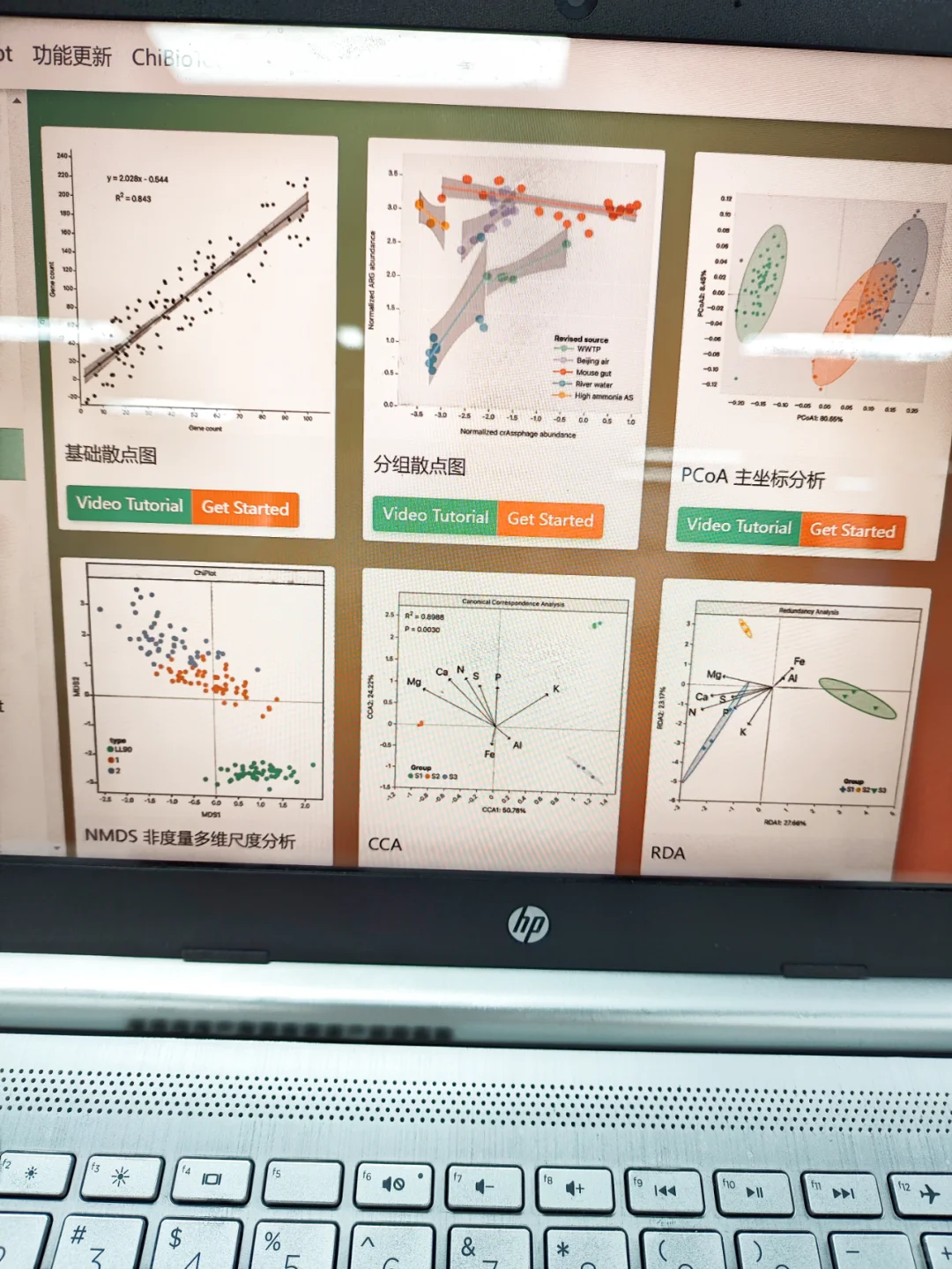这个网站我愿称之为年度最伟大发现