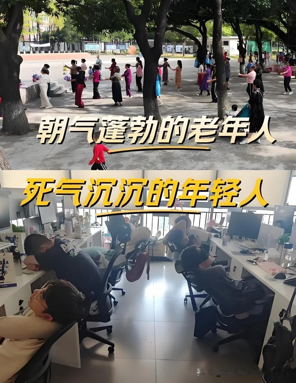 在这个荒诞不经的现实社会里，不要再抱任何幻想，赶快做好两件事保护好自己才是最重要