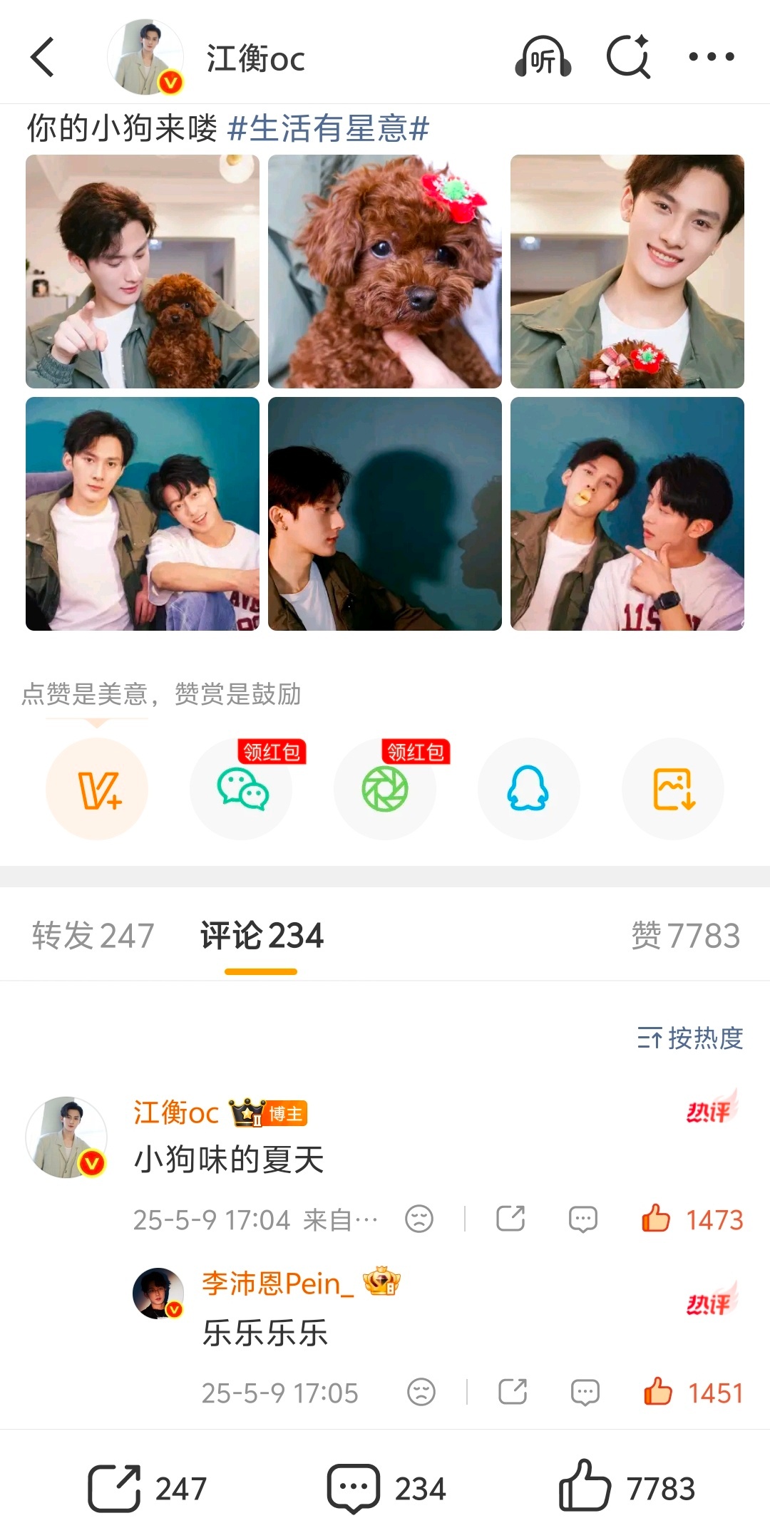 狗尾草的夏天 小狗味的夏天 
