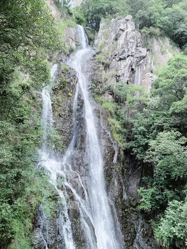 青山绿水,鸟语花香的农村不好吗? 青山绿水、鸟语花香的农村当然好啊！就说江西的下
