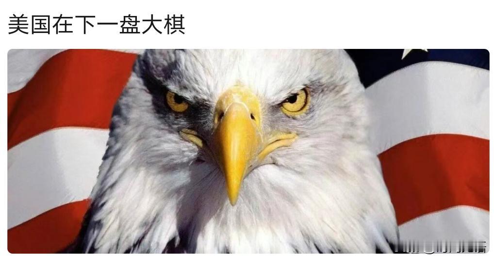 美国在下一盘大棋？别扯淡了，哪有什么大棋，就是走一步看一步，老特能熬过中期选举就