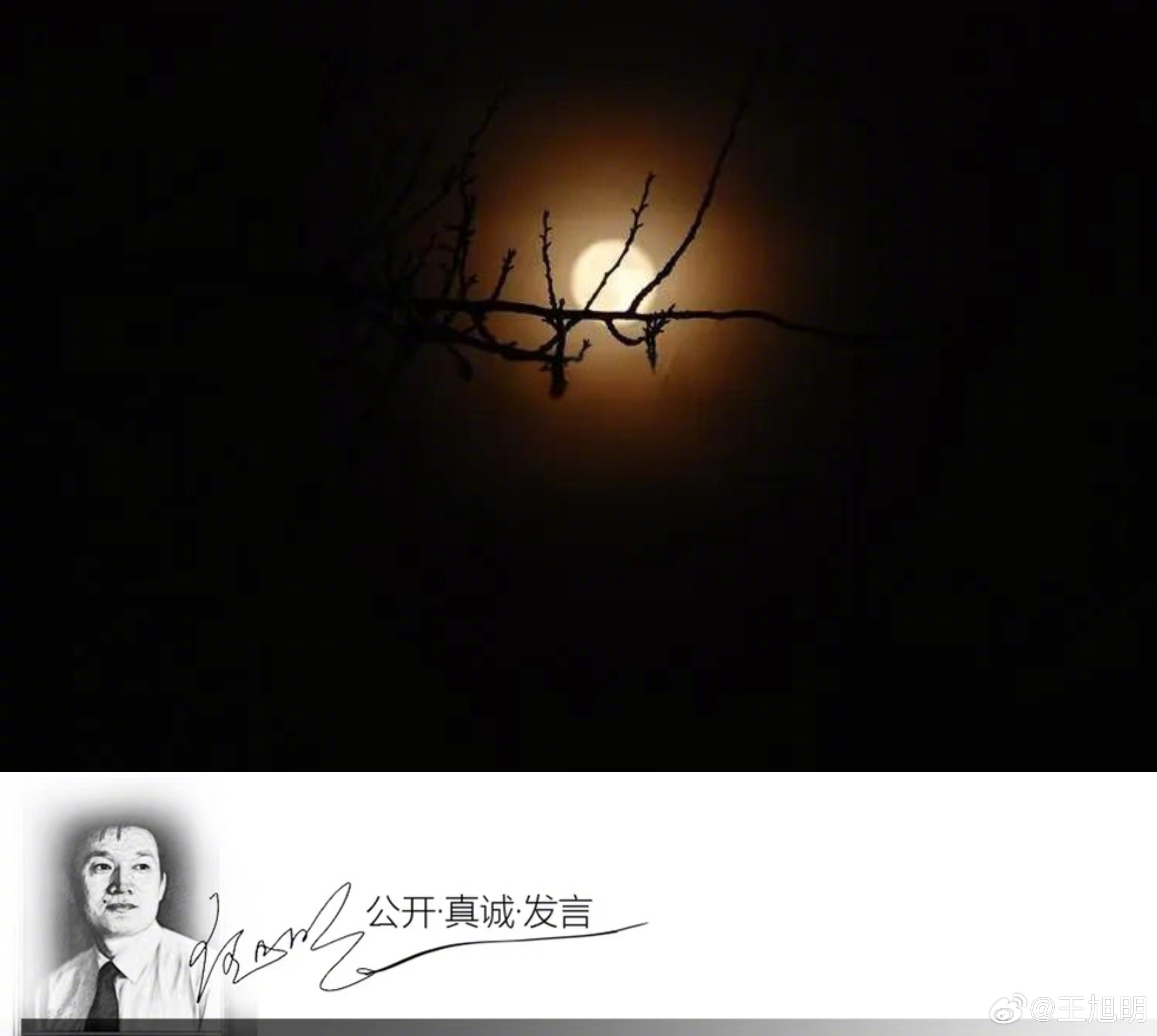 #明诗评#先请读小夜诗：原创小夜诗：食用夜       有一种油叫食用油    
