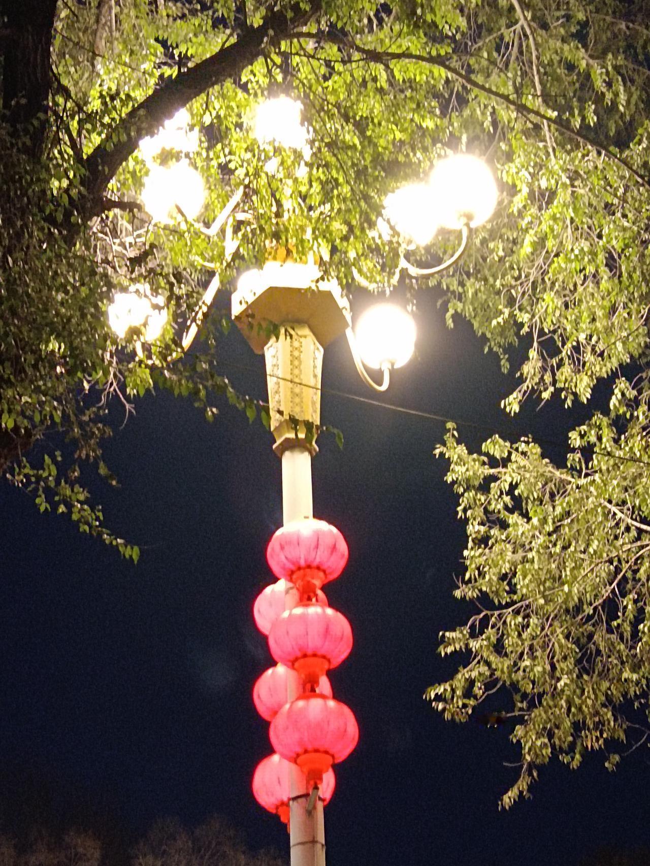 冬日生活打卡季 灯火阑珊处，夜色笼人间。