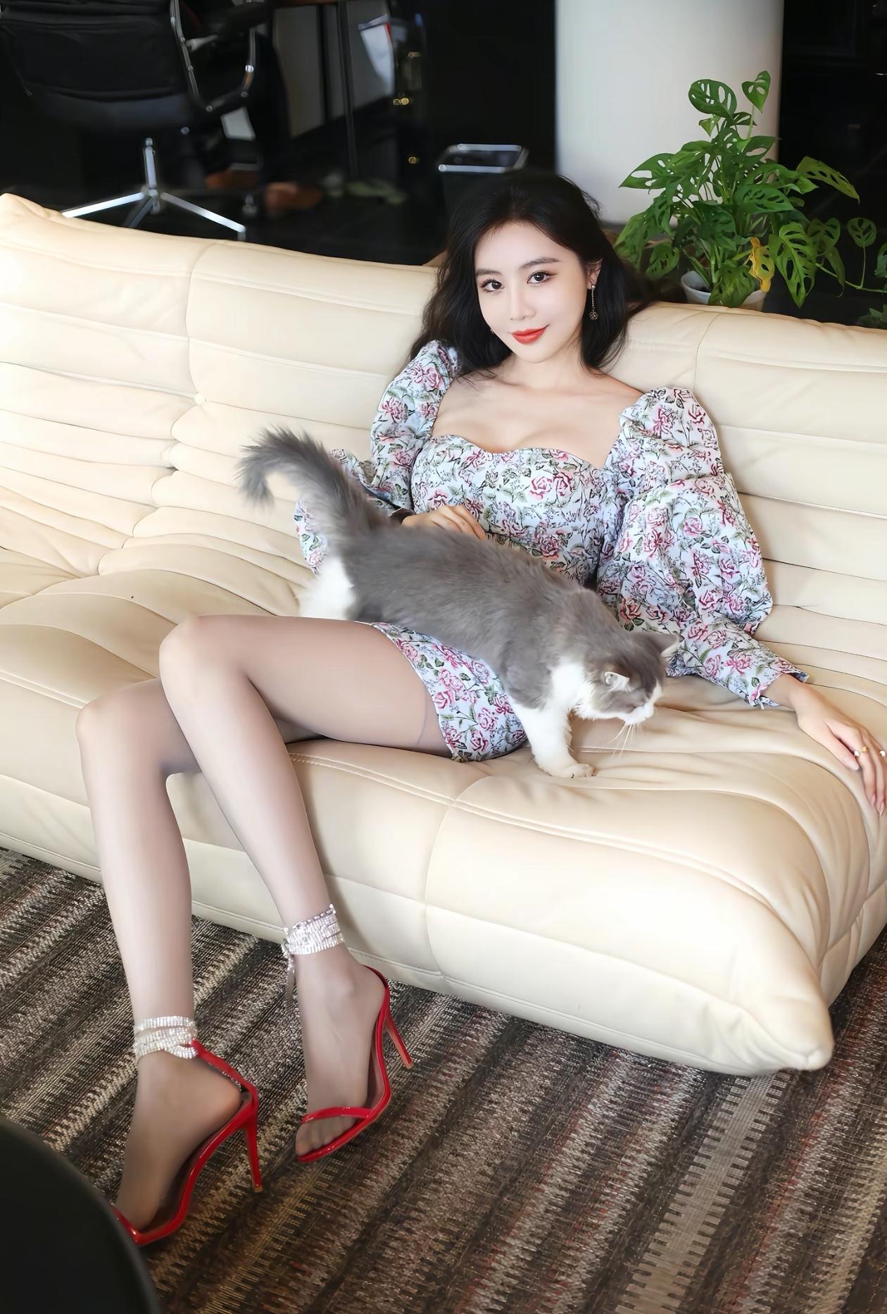 美女不谈恋爱
只养猫