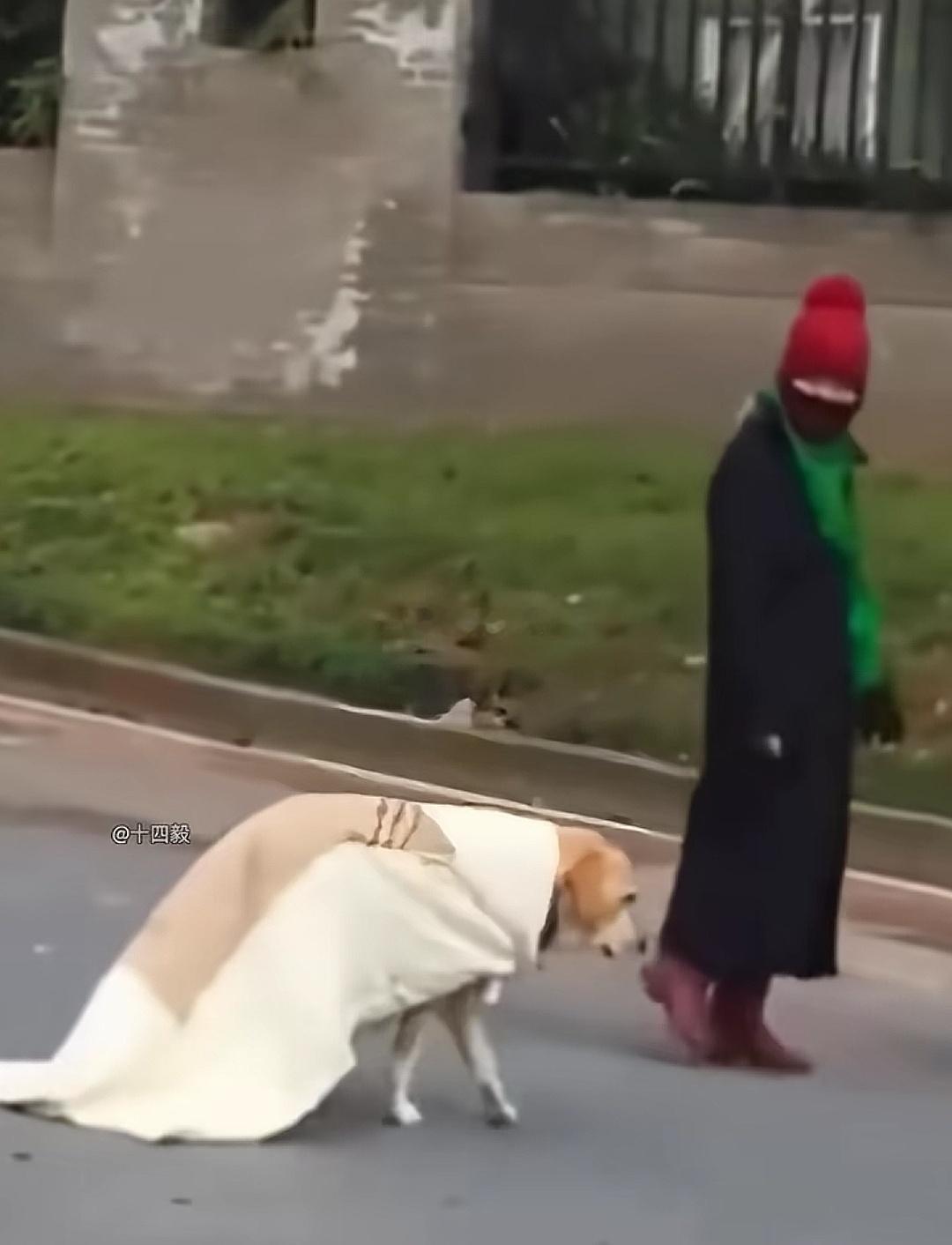 冻成狗了 