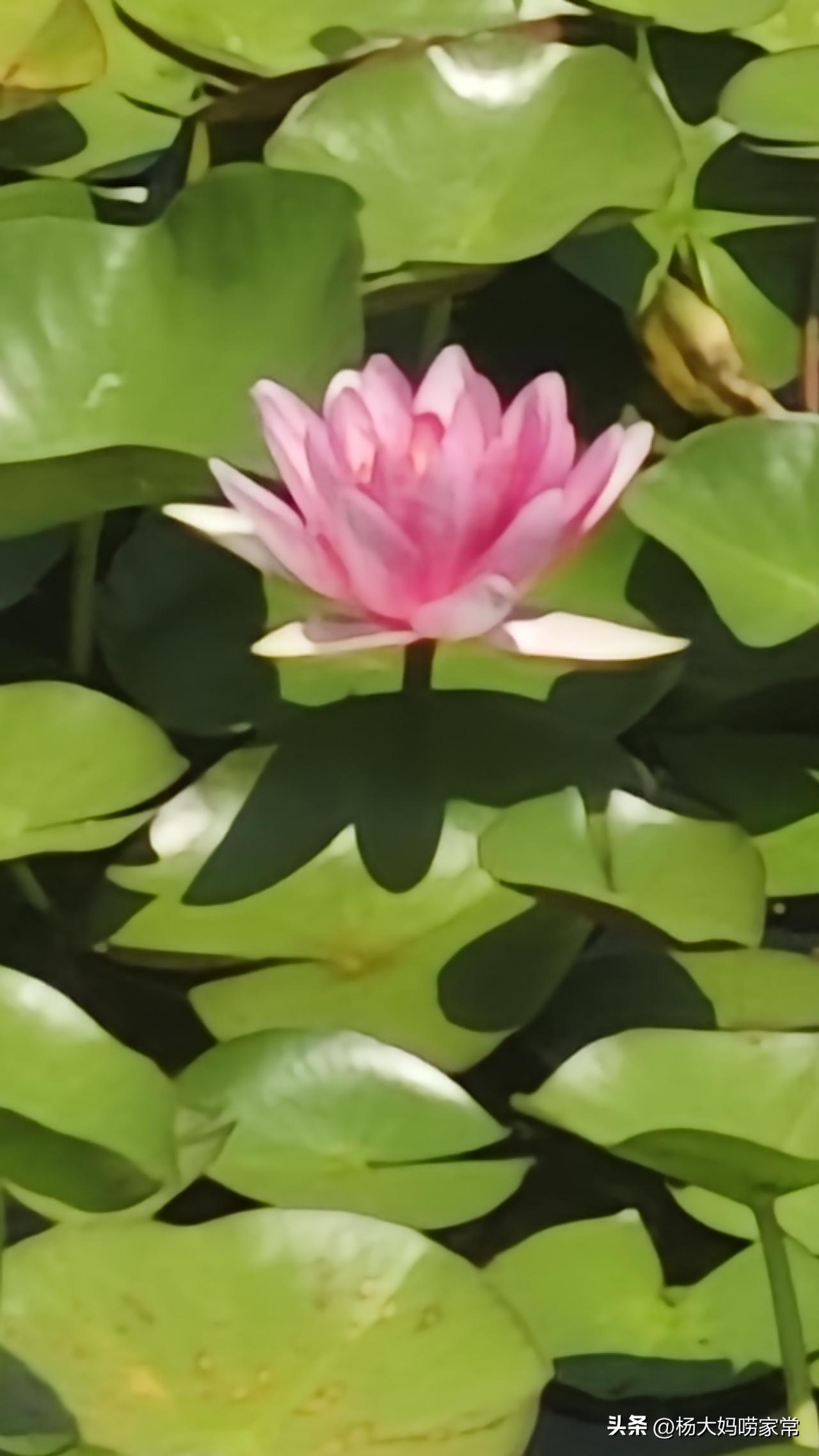 时代变了，人的观念也变了。以前姑娘找对象，后生老实本分勤快是首选，是优点，现在好