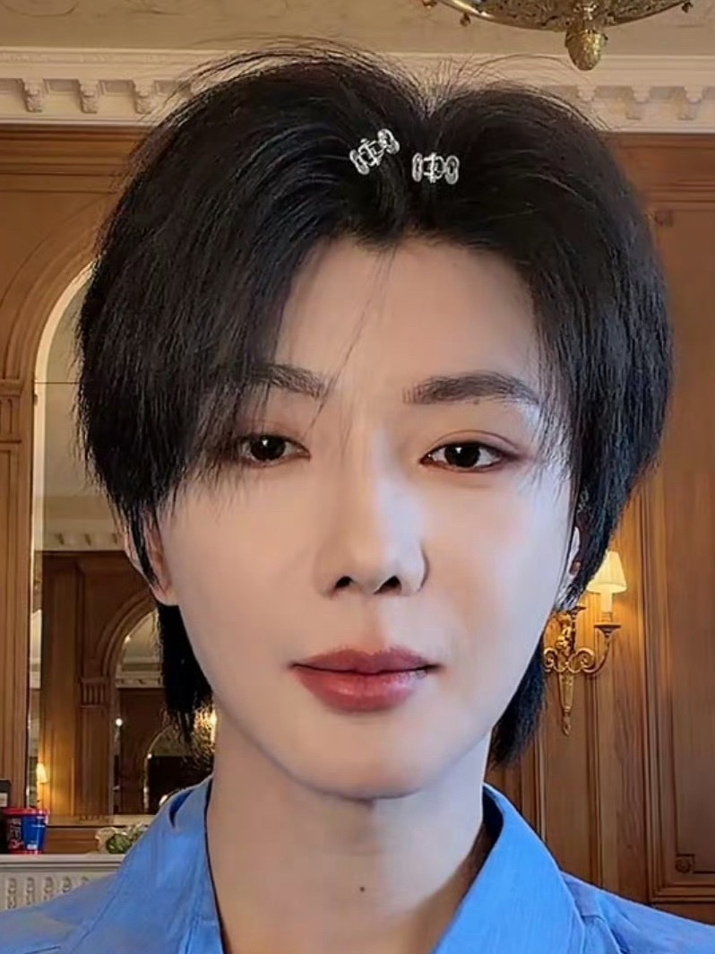 陈数来了 