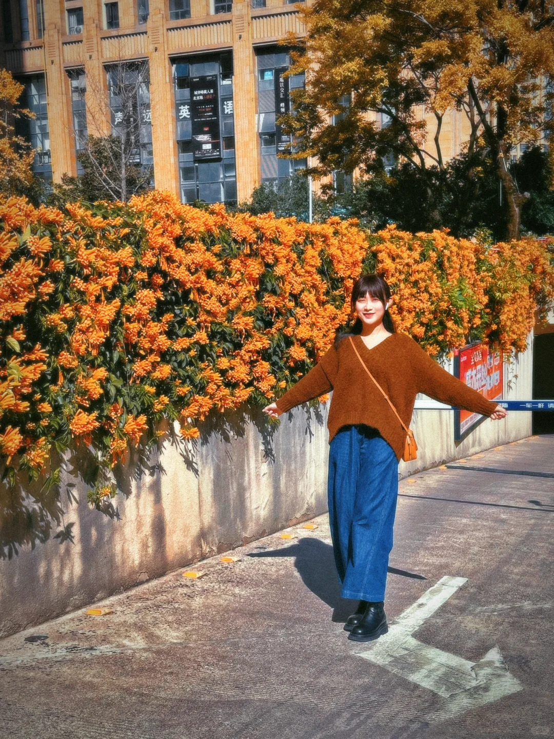 🧡 昆明遥遥领先的冬日橘色浪漫……