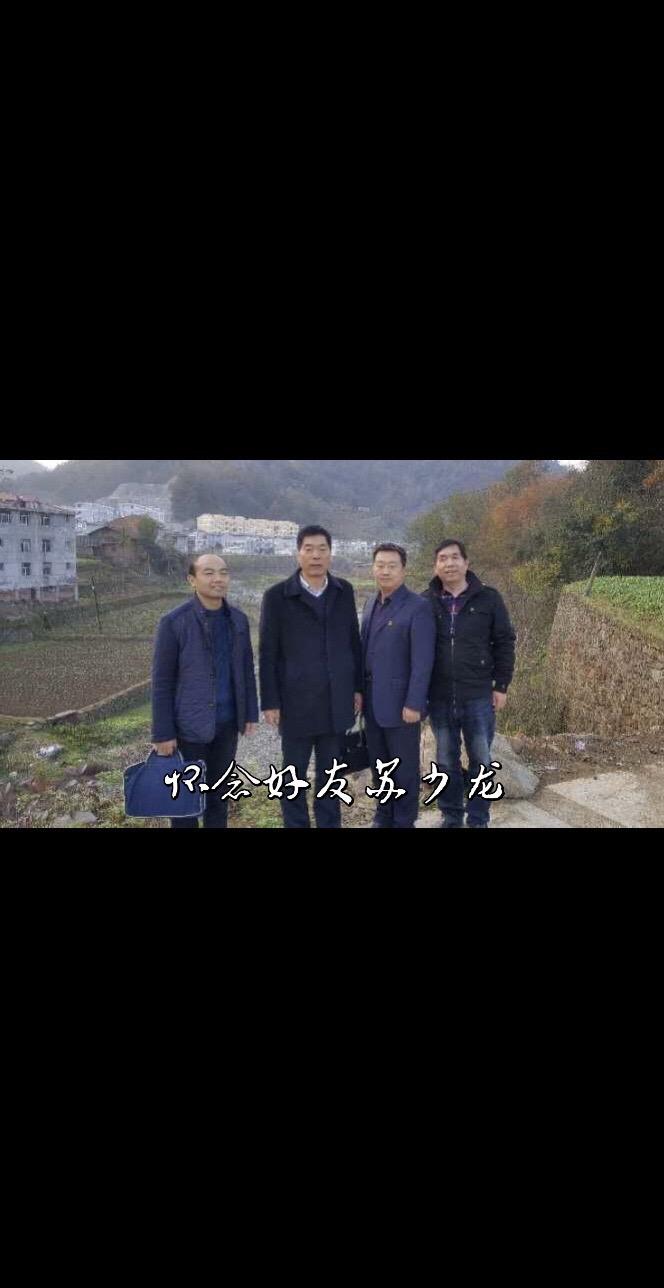 2023年夏天的那个中午，电话铃声划破了午后的安静。是苏少龙的电话，接起电话，却