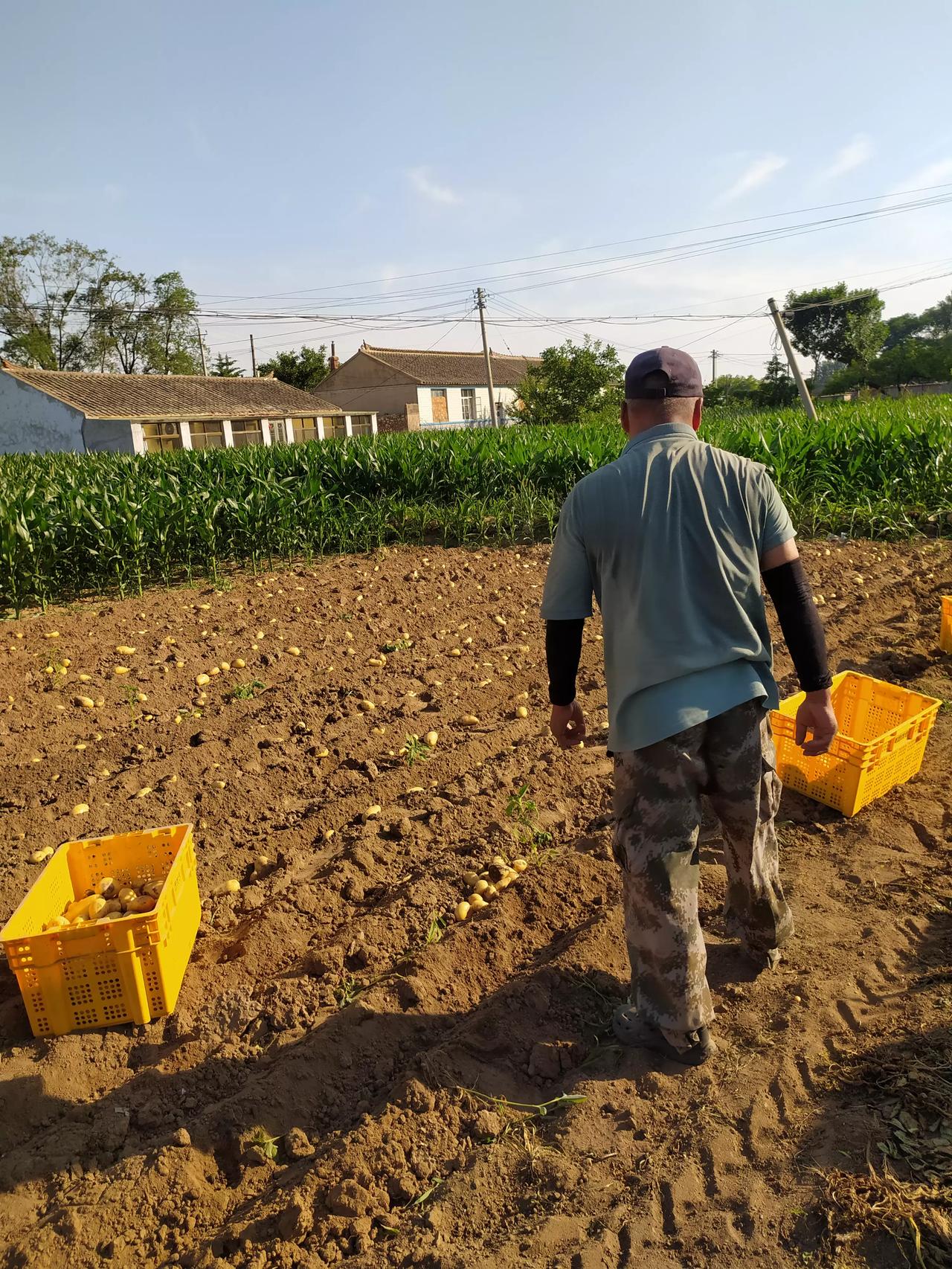 头条又有人骂我，尽是胡说八道，我特别生气。

其实，骂我的，嘲讽我的，天天都有。