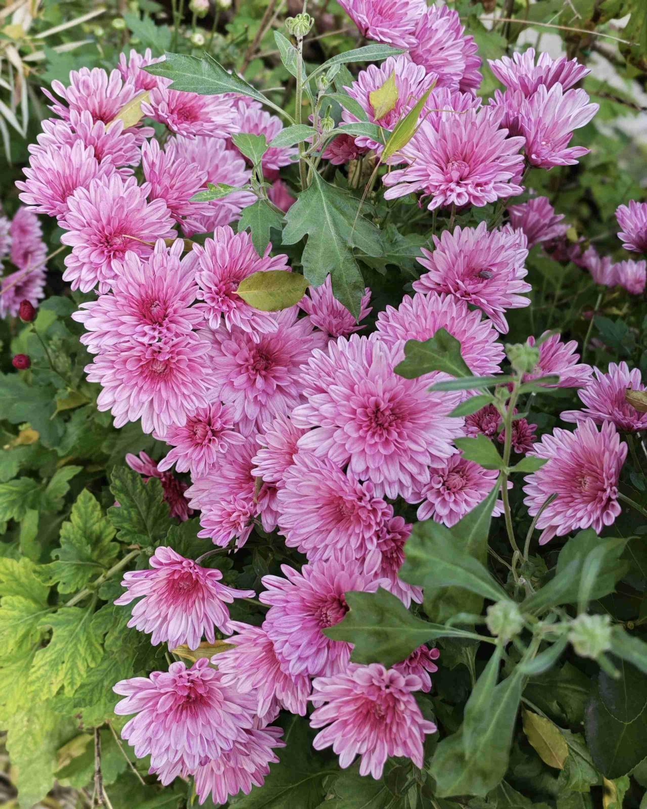 我的今日状态：😁轻松愉快
我这里的天气：☀️晴天