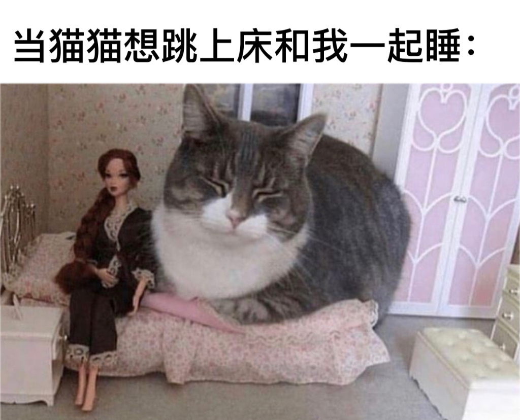 太占位置了喂！#今日memes##趣过夏天# ​​​