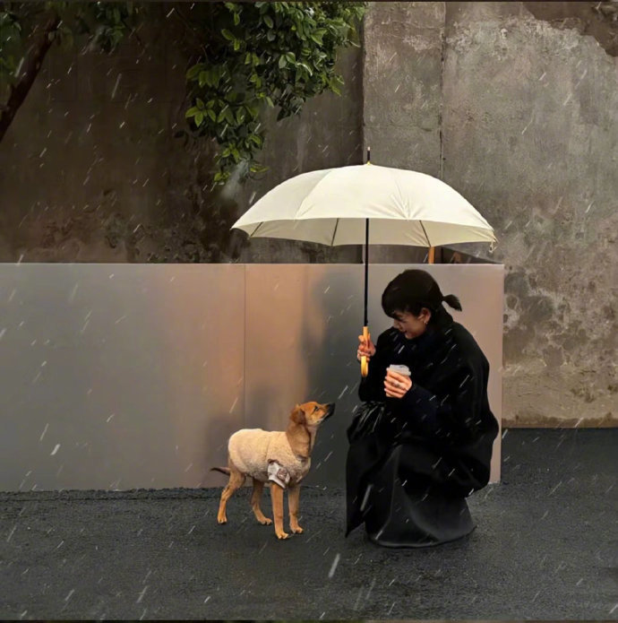 不要指望对方跟你分开以后会愧疚，也不要想着他们能够回头，遇见了更好的，他们才不会