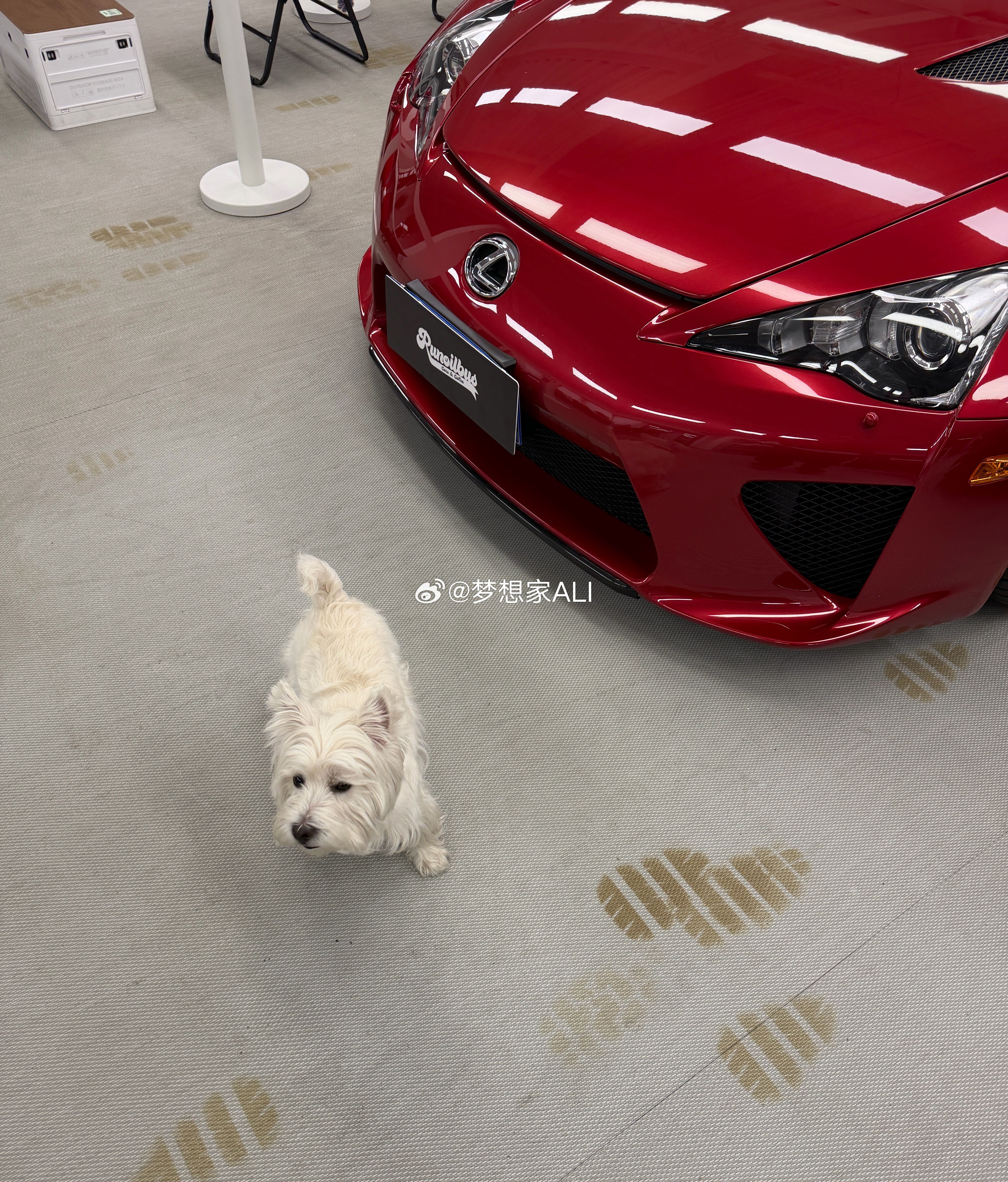 早梦想家ALI 北京·Runoilbus燃油巴适