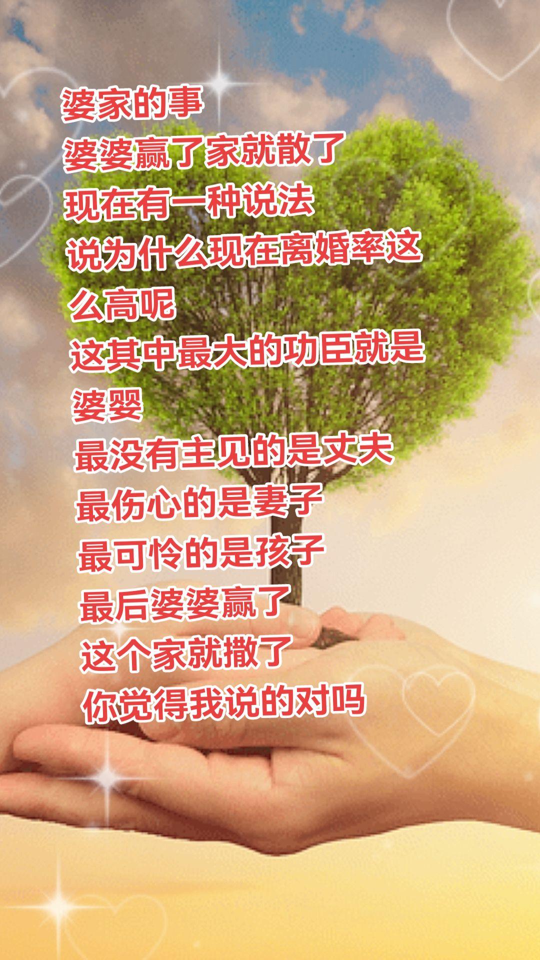 婆婆赢了家就散了
