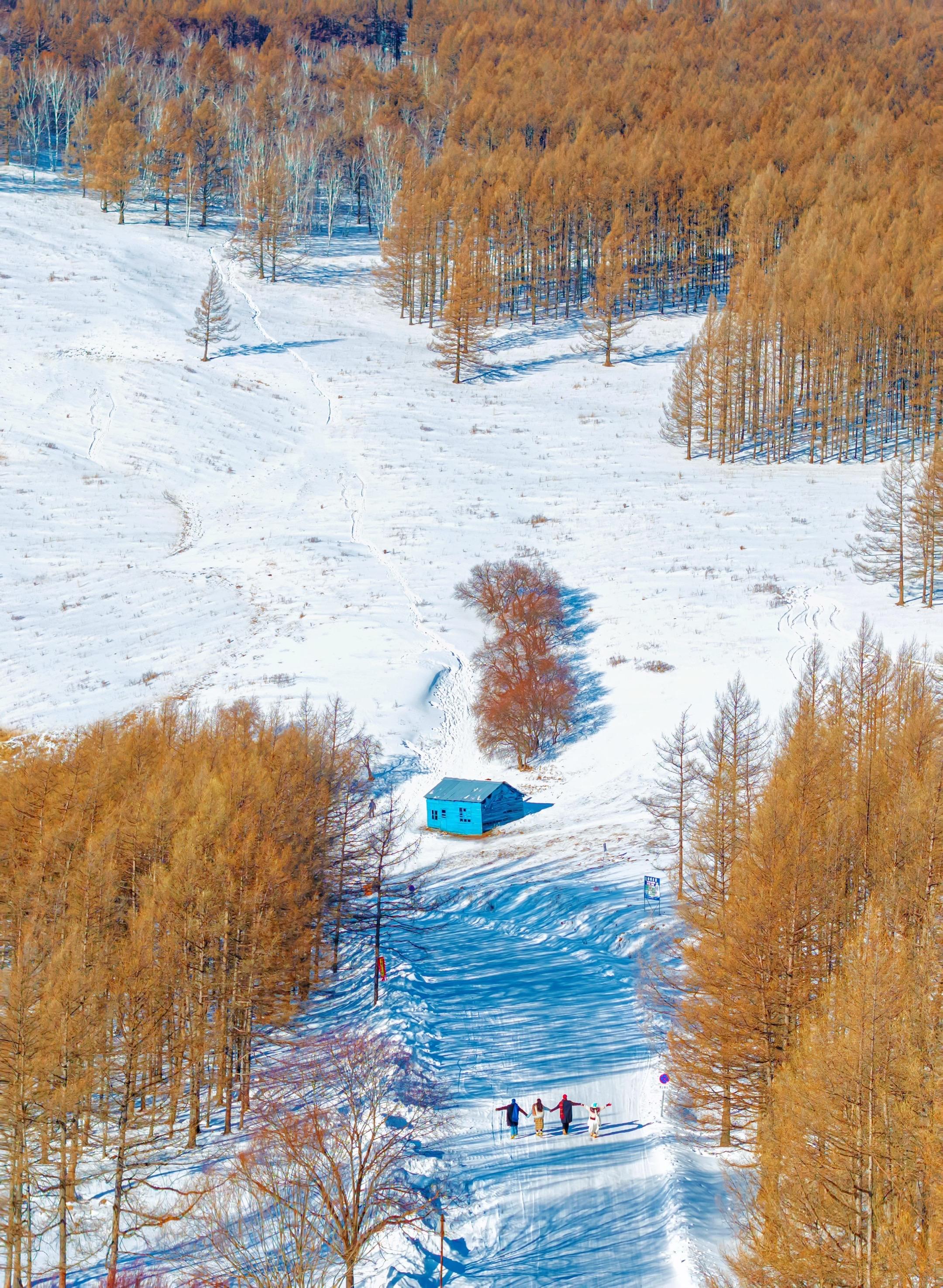 为了这16张照片！我特意飞了一趟呼伦贝尔…这个冬天❄️建议一定要来一次...