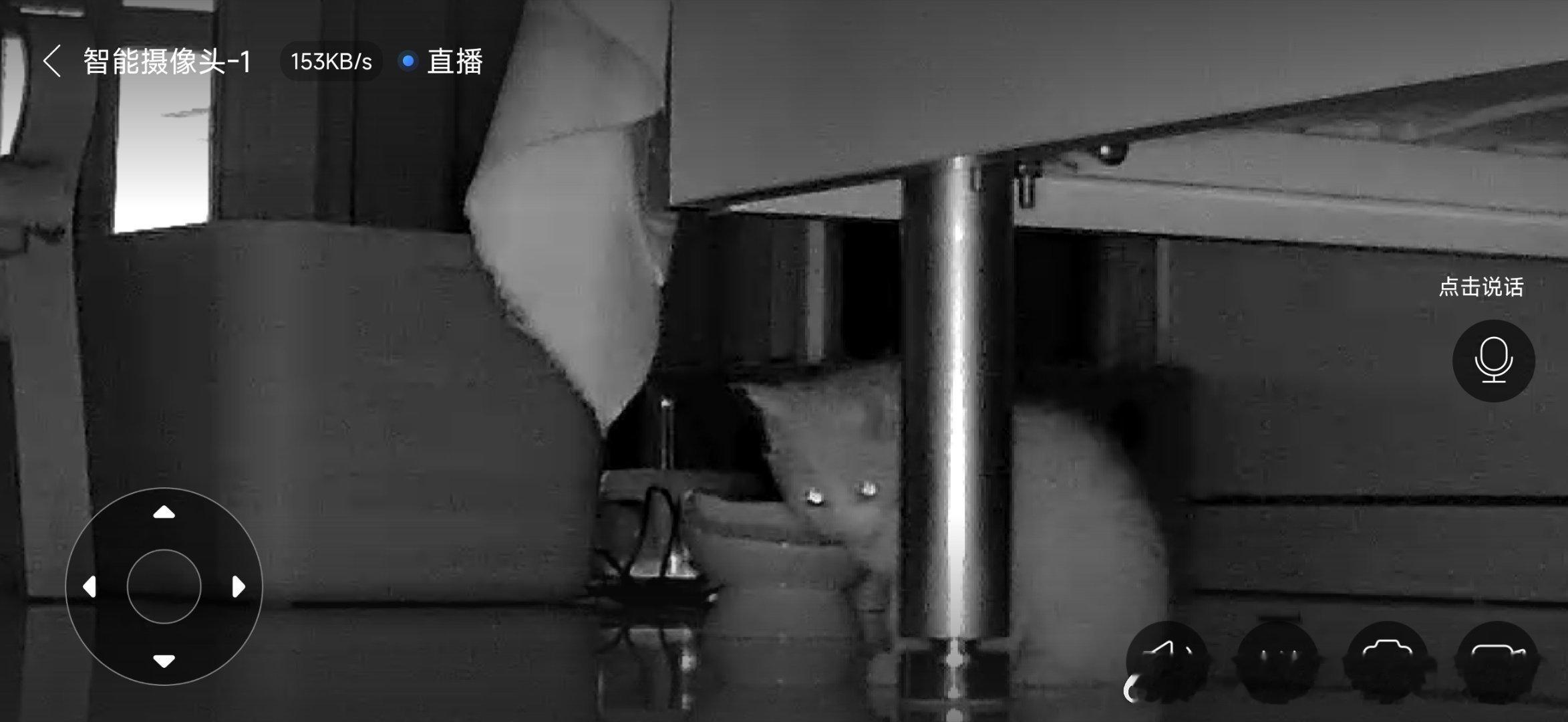 吃完饭不说谢谢，橘你是多么坏 