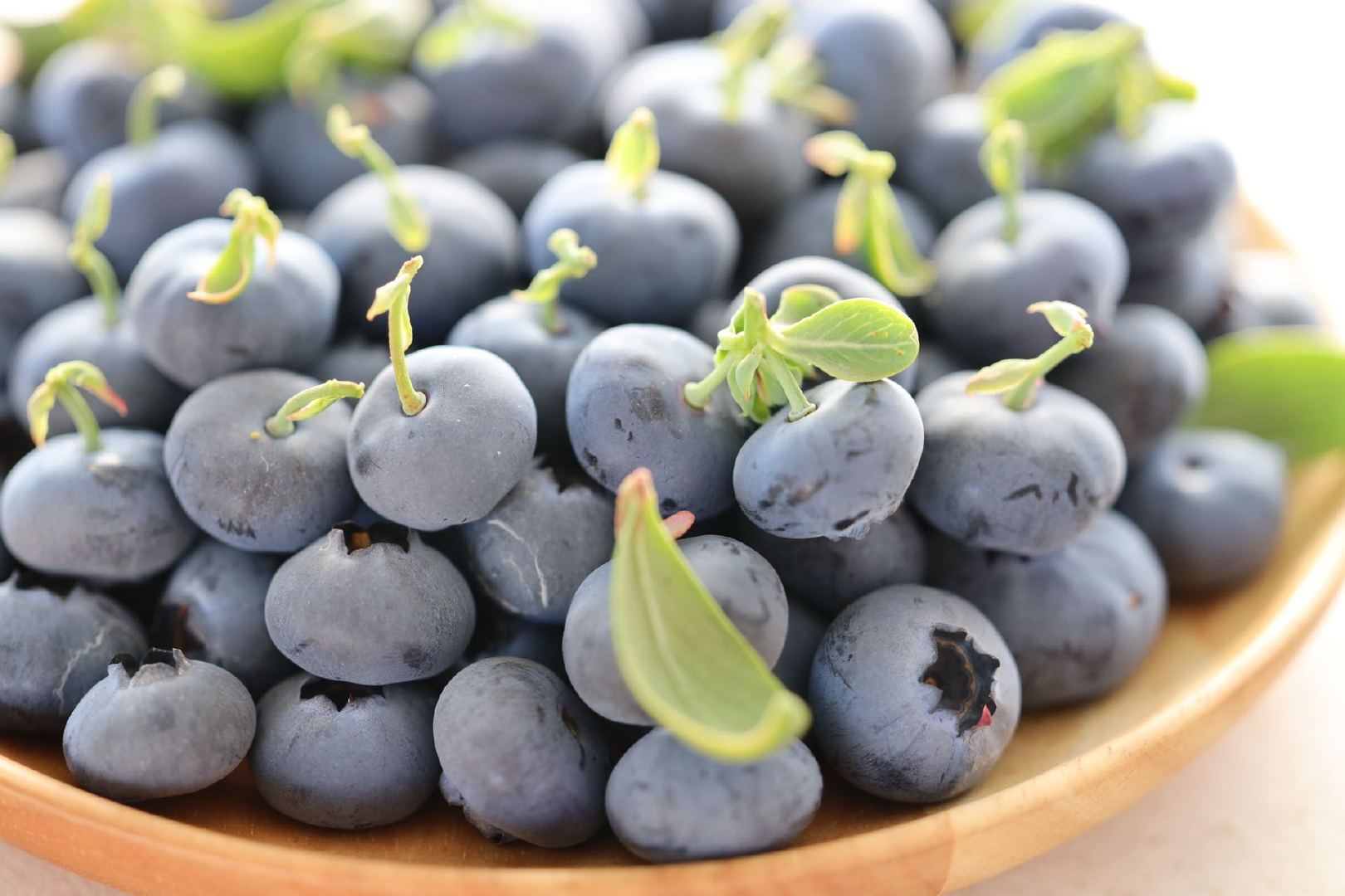 蓝”能可贵，“莓”你不行 ，蓝莓被称为“水果皇后”和“浆果之王”营养小巨人，颗颗