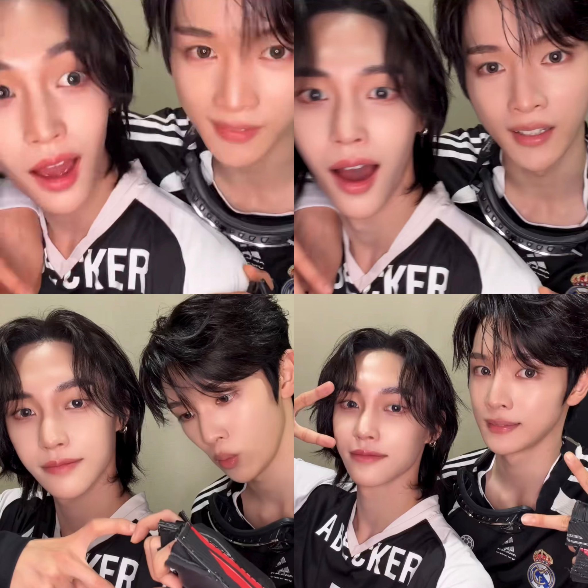 🦊🐰 