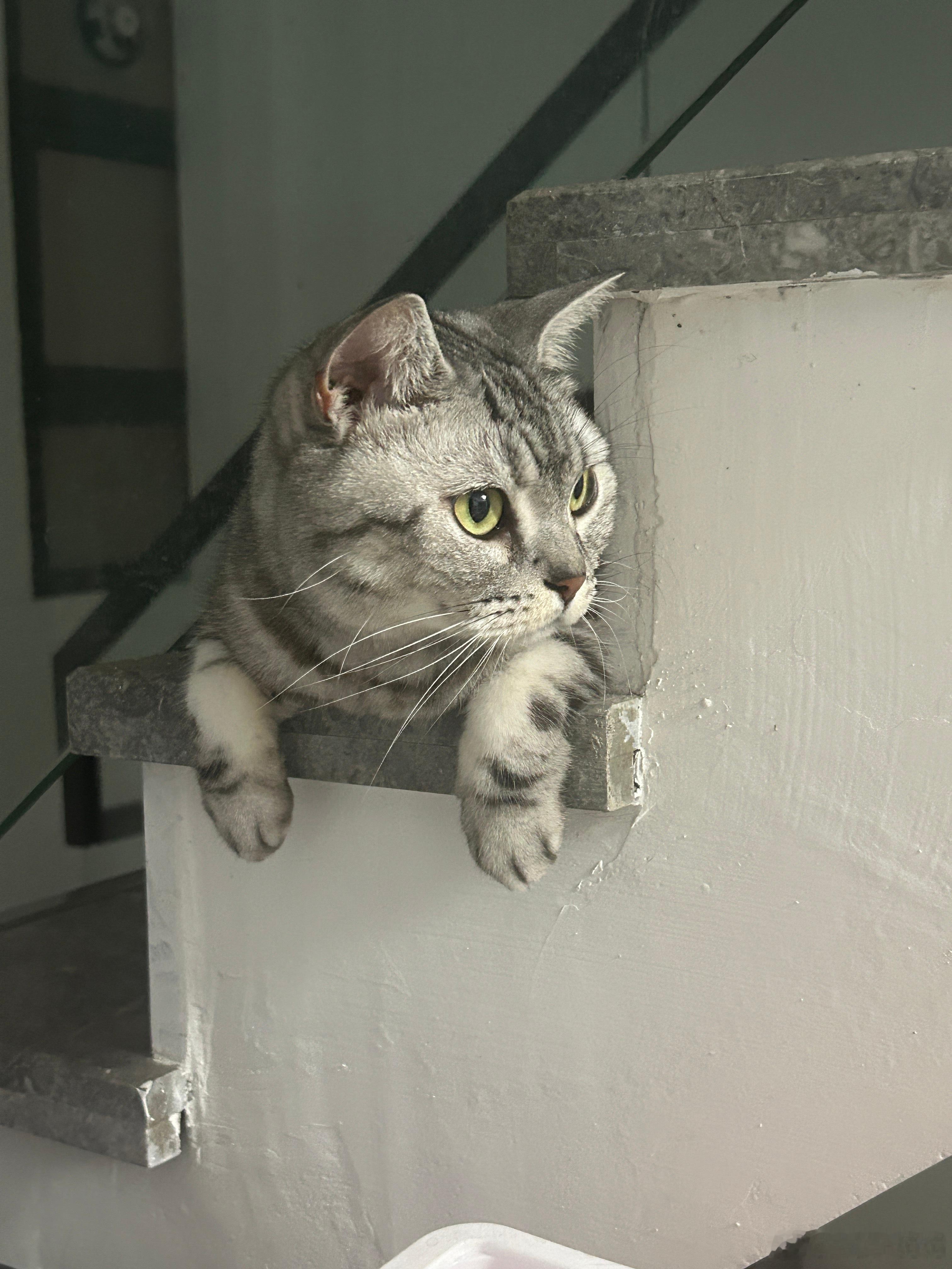 忧郁起来豿豿
