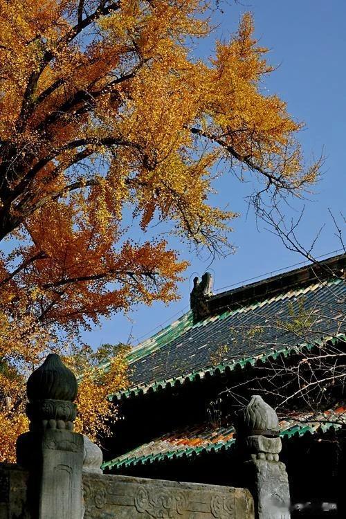 大觉寺始建于1068年，寺庙并不算大，却蕴含着浓厚的文化特色，有着不一样的风景，