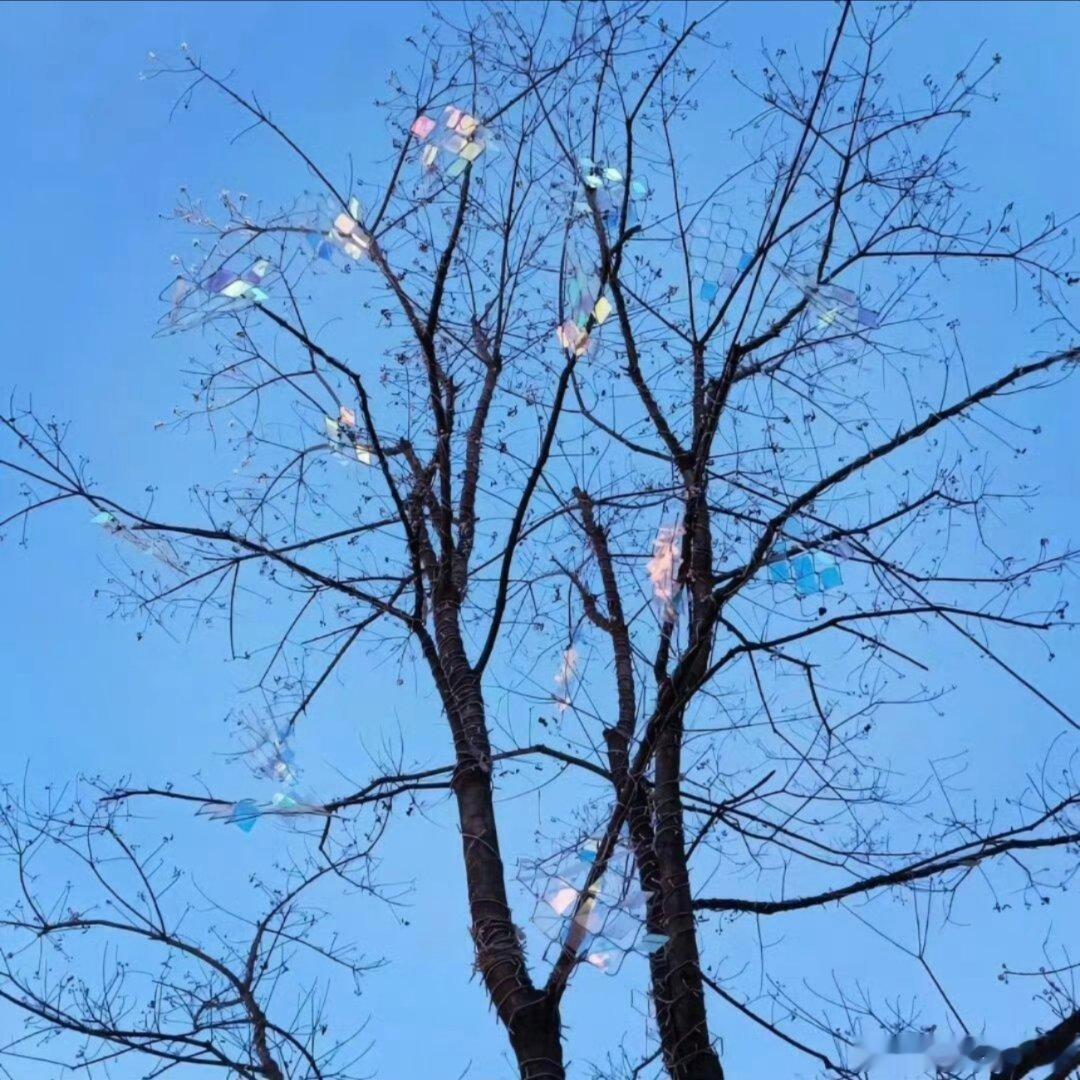 氛围感背景图。 