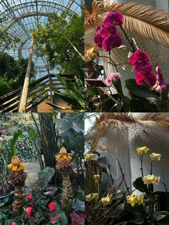 郑州植物园｜走进自然氧吧🌳