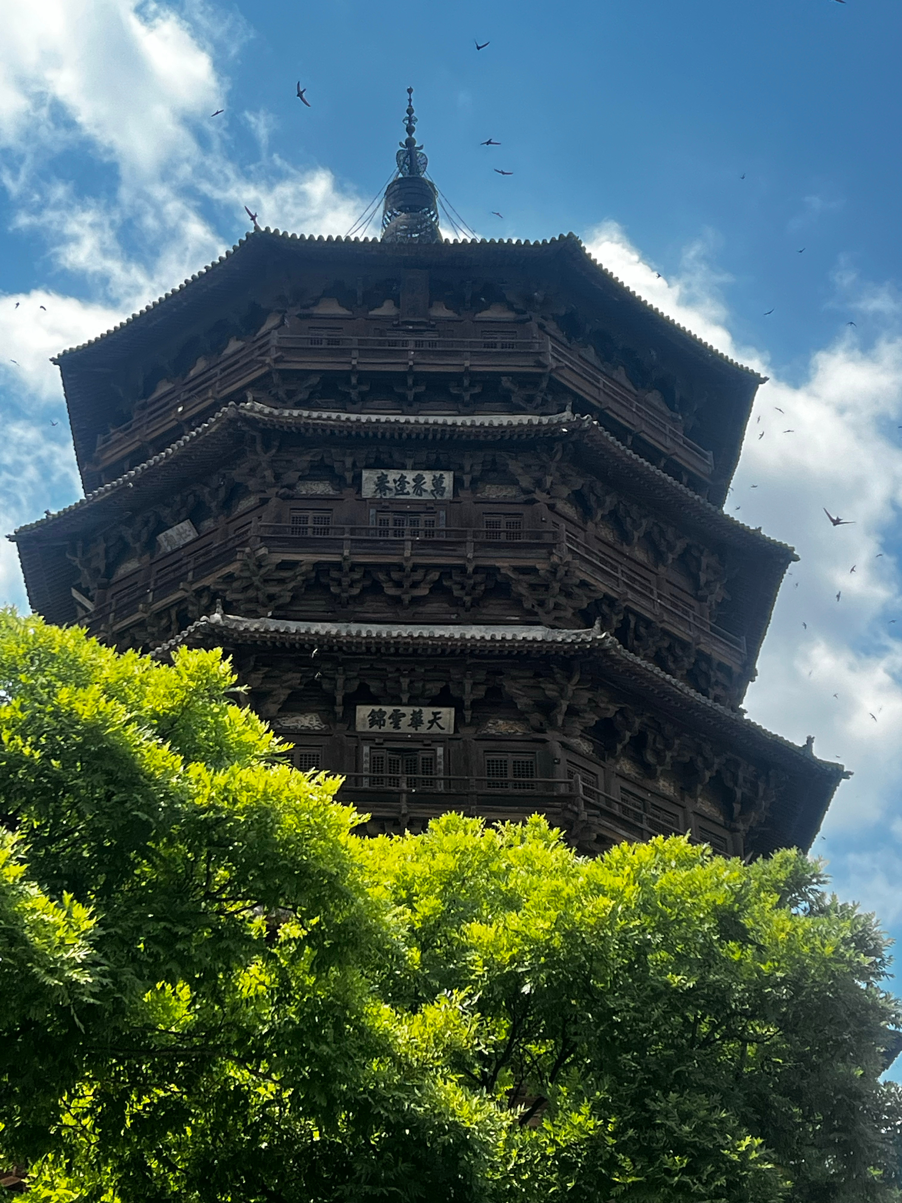 从火车站登上的满员大客车晃晃悠悠地一路经过庄稼地、插着花的荒坟、面馆、学校，陆续