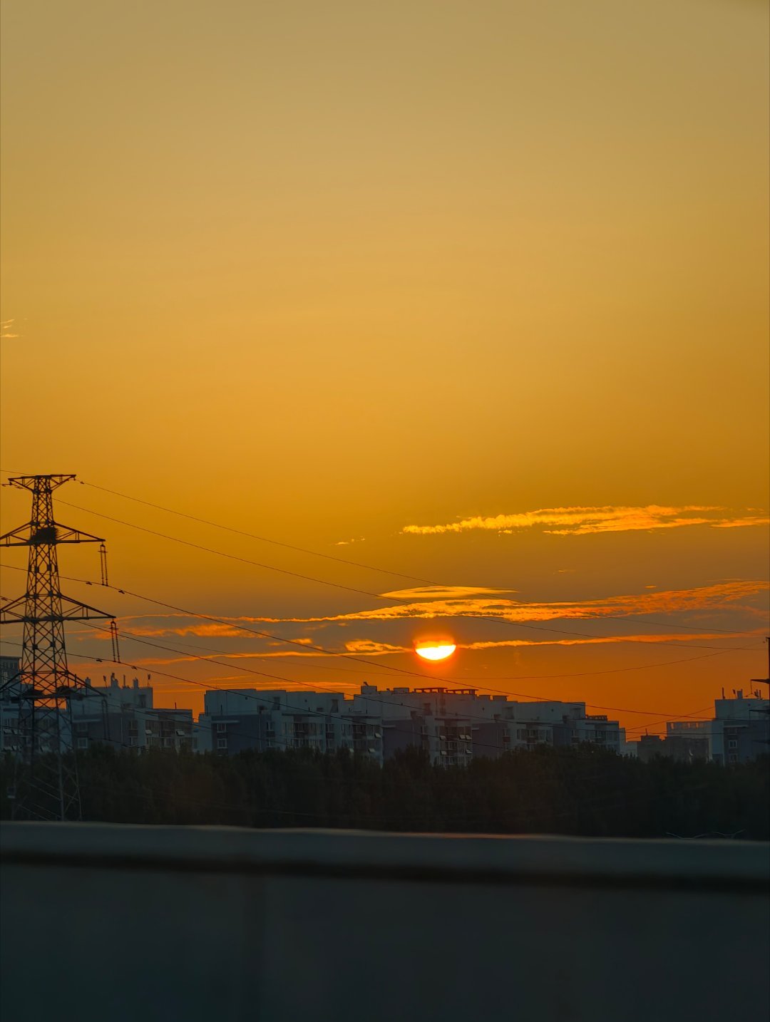 早起的虫儿被鸟吃​早啊，各位小鸟 ​​​