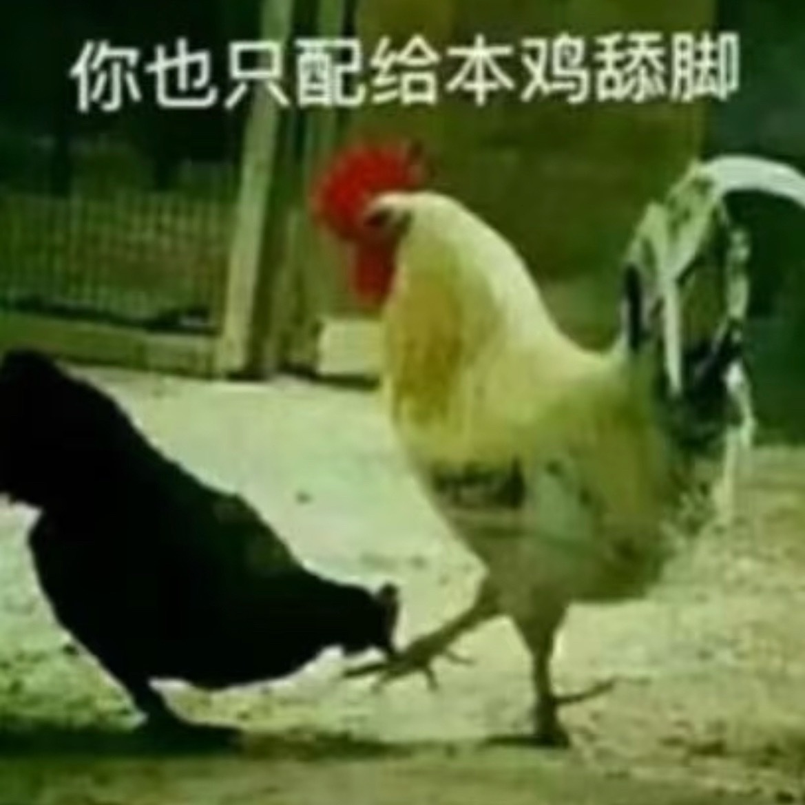 慎坤积累 