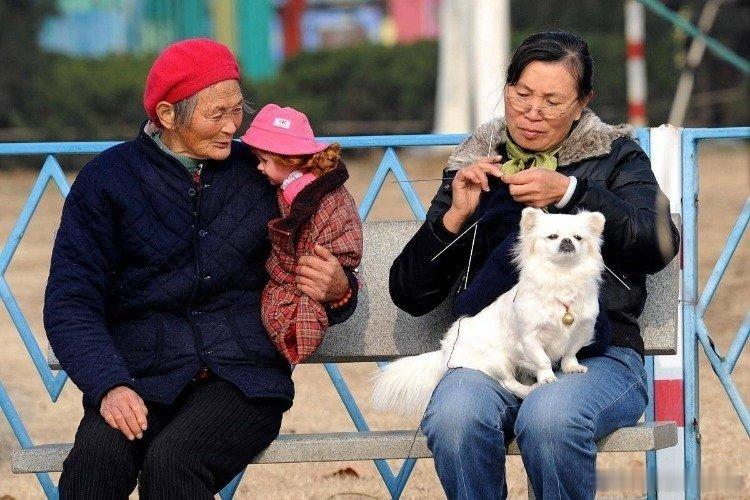 凤凰新闻【当你躺在病床上就知道，晚年不是靠血脉至亲，而是这三座靠山】人生，成长、