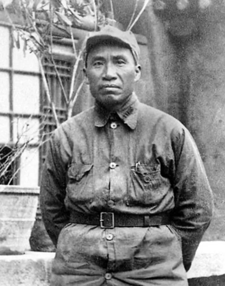 解放后朱德养6000盆兰花，只为纪念怀胎4月牺牲的夫人伍若兰……

在北京的中山