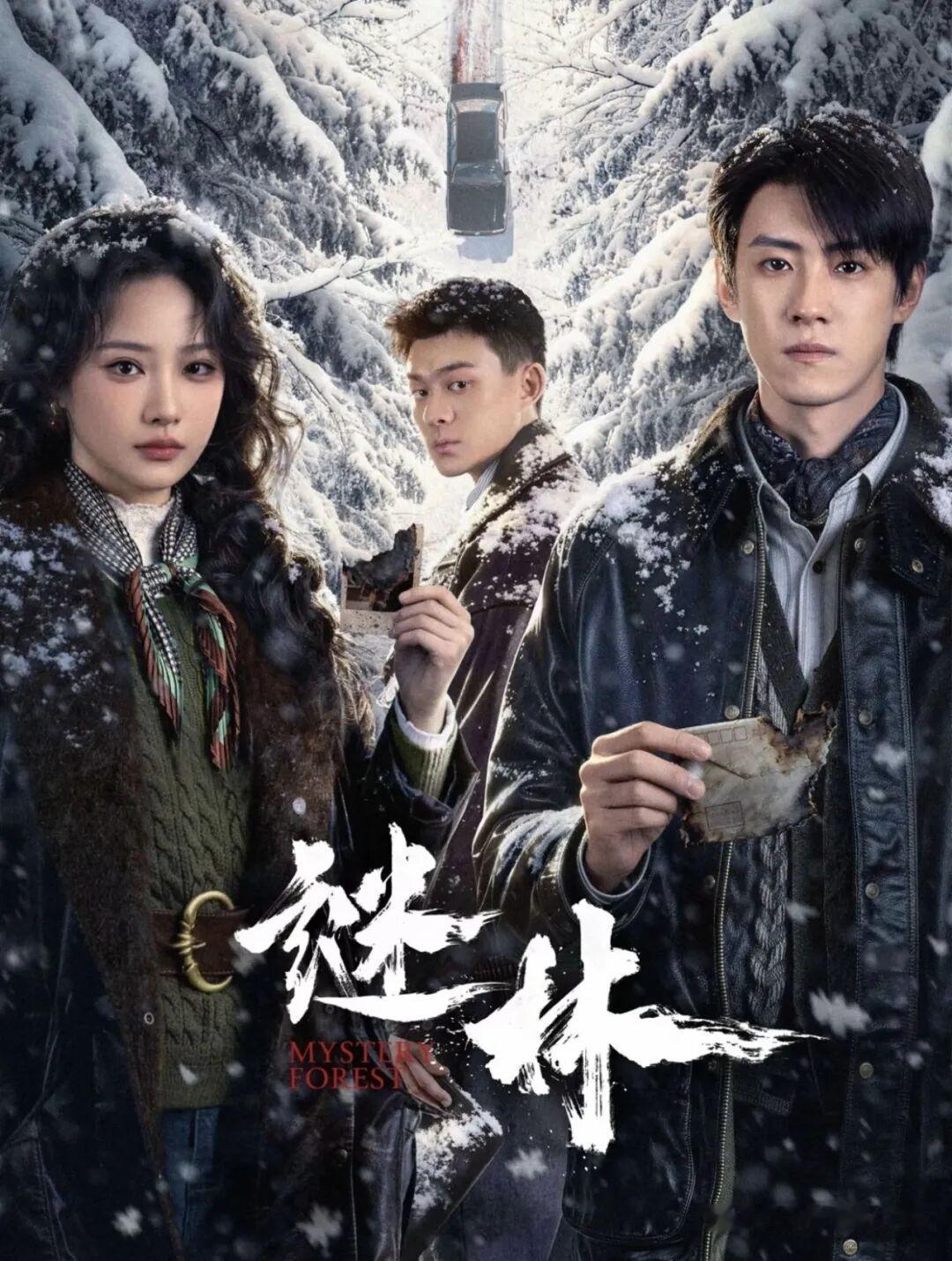 今天中午12点爱奇艺直接抬上24集的年代悬疑剧《谜林》，吴佳怡和晏紫东主演的雪地