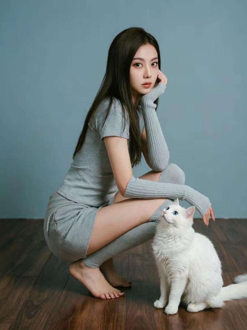 一只可爱的小猫咪……