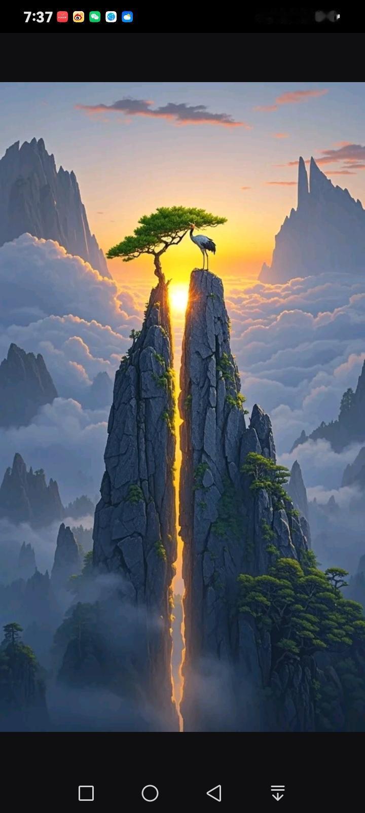 当晨曦的金芒劈开双峰对峙的崖隙，云海翻涌间，黄山松孤挺于峰巅，丹顶鹤静立崖头，似