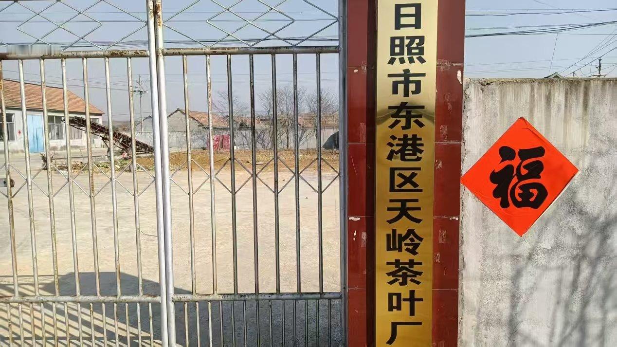【日照绿茶：点亮乡村振兴之路】为深入乡村，探寻特色农产品如何书写乡村振兴的精彩篇