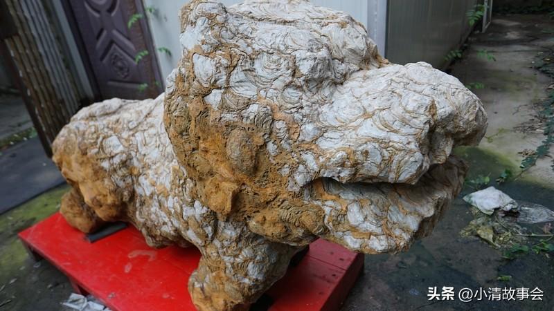 人活一辈子，金钱与健康哪个重要？这问题就像哈姆雷特的“生存还是毁灭”。
金钱是生