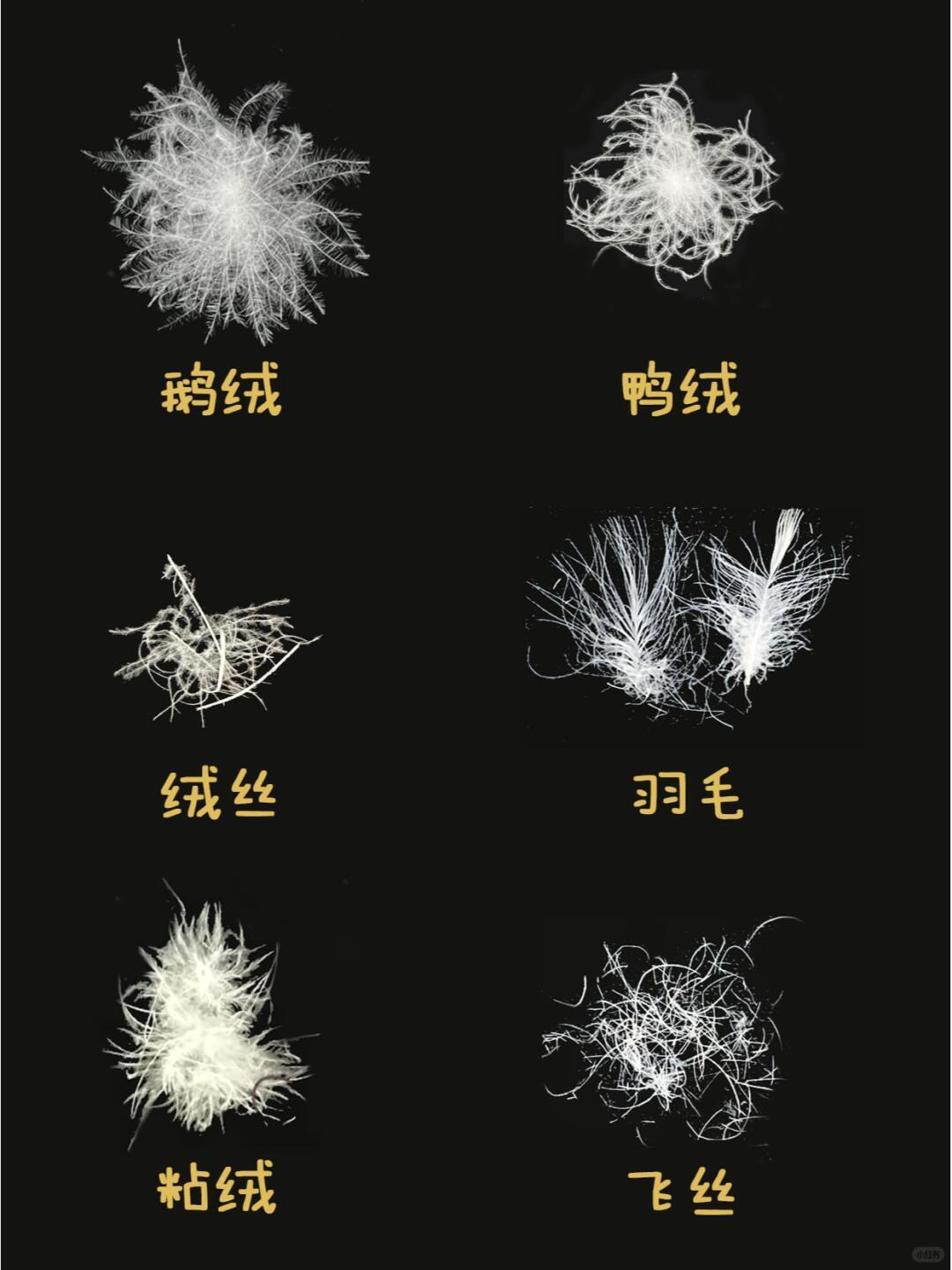 599大洋买件羽绒服，出门就剪开，结果里面全是飞丝，没个完整的绒朵！

买完就剪