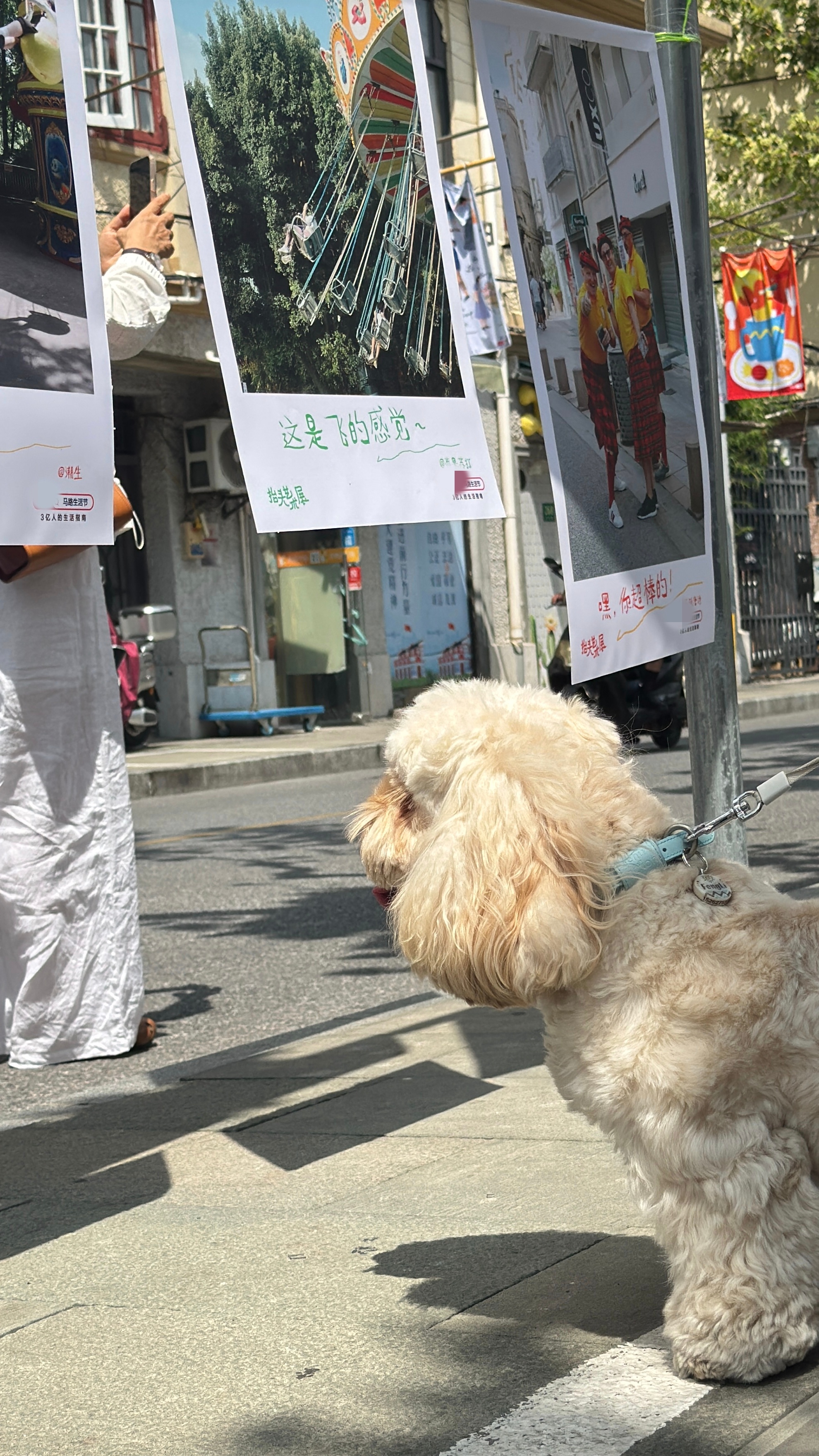 #这狗能闻到文学味儿# 一般的小狗闻到肉味儿会开心，但是这只小狗好像闻到文学味儿
