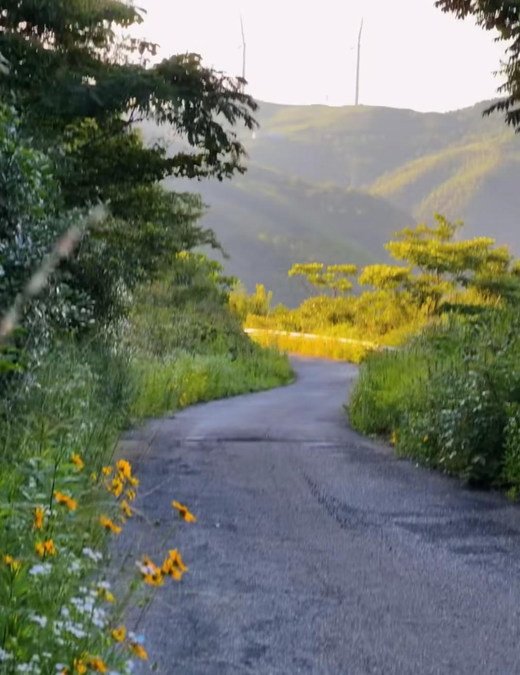 只有长大了才知道小时候有多苦
看到有网友说，
孩子只有几个月大的时候放在老家养，